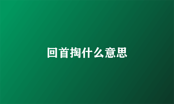 回首掏什么意思