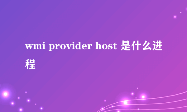 wmi provider host 是什么进程