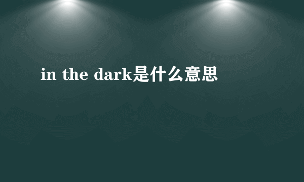 in the dark是什么意思