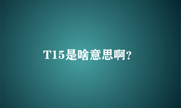 T15是啥意思啊？