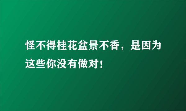 怪不得桂花盆景不香，是因为这些你没有做对！