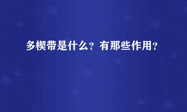 多楔带是什么？有那些作用？