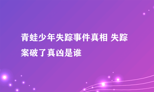 青蛙少年失踪事件真相 失踪案破了真凶是谁