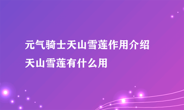 元气骑士天山雪莲作用介绍 天山雪莲有什么用