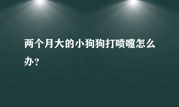 两个月大的小狗狗打喷嚏怎么办？