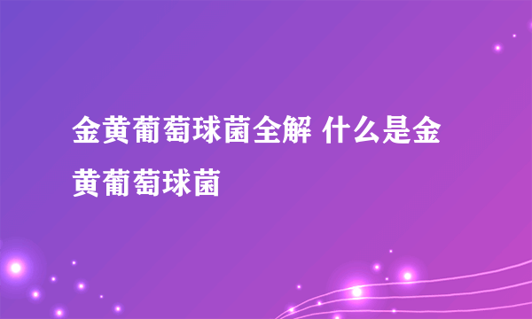 金黄葡萄球菌全解 什么是金黄葡萄球菌