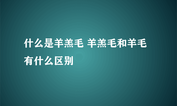 什么是羊羔毛 羊羔毛和羊毛有什么区别