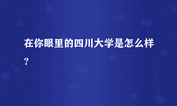 在你眼里的四川大学是怎么样？