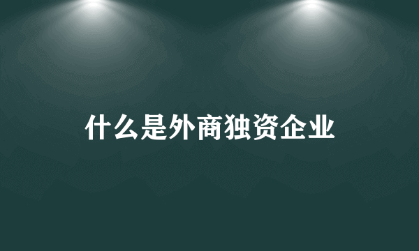 什么是外商独资企业