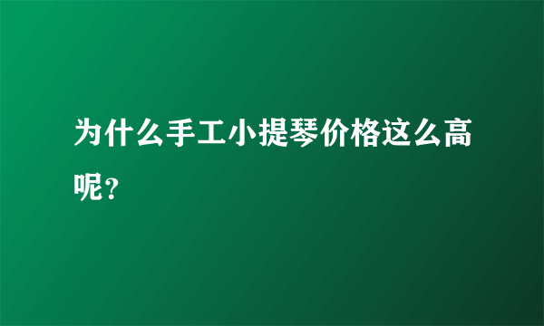 为什么手工小提琴价格这么高呢？