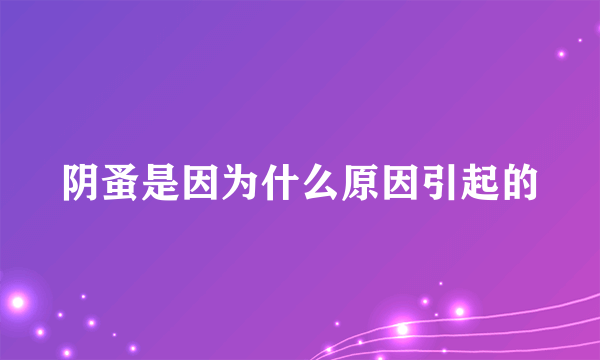 阴蚤是因为什么原因引起的