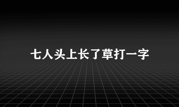 七人头上长了草打一字