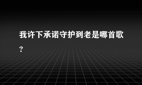 我许下承诺守护到老是哪首歌？