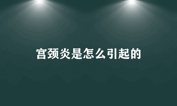 宫颈炎是怎么引起的