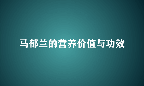 马郁兰的营养价值与功效