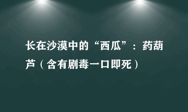 长在沙漠中的“西瓜”：药葫芦（含有剧毒一口即死）