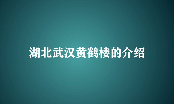 湖北武汉黄鹤楼的介绍