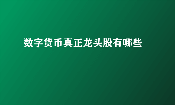 数字货币真正龙头股有哪些 