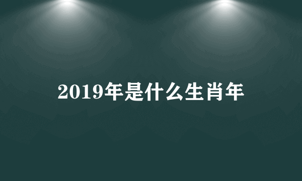 2019年是什么生肖年