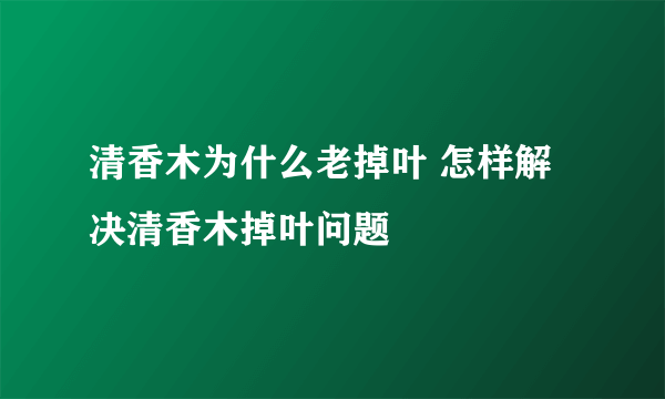 清香木为什么老掉叶 怎样解决清香木掉叶问题