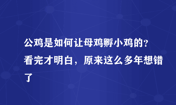 公鸡是如何让母鸡孵小鸡的？看完才明白，原来这么多年想错了