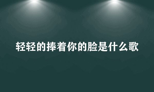 轻轻的捧着你的脸是什么歌