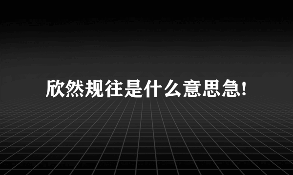 欣然规往是什么意思急!