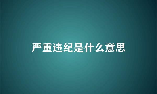 严重违纪是什么意思