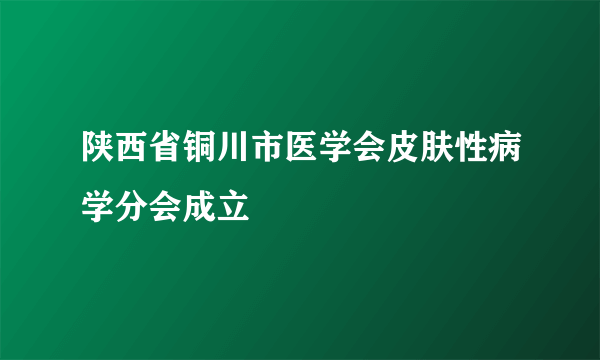 陕西省铜川市医学会皮肤性病学分会成立