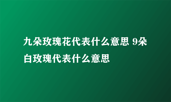 九朵玫瑰花代表什么意思 9朵白玫瑰代表什么意思