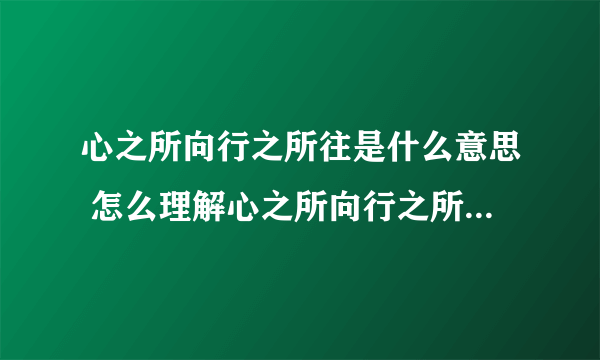 心之所向行之所往是什么意思 怎么理解心之所向行之所往的意思