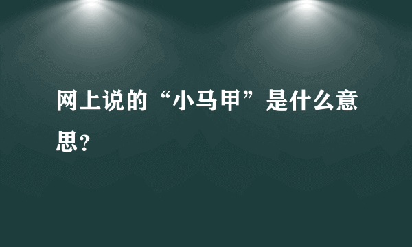 网上说的“小马甲”是什么意思？