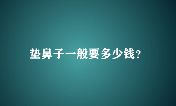 垫鼻子一般要多少钱？