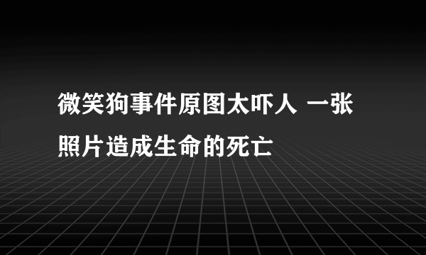 微笑狗事件原图太吓人 一张照片造成生命的死亡