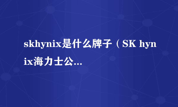 skhynix是什么牌子（SK hynix海力士公司简介）