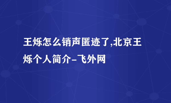 王烁怎么销声匿迹了,北京王烁个人简介-飞外网