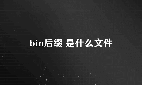 bin后缀 是什么文件