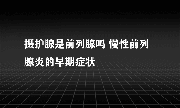 摄护腺是前列腺吗 慢性前列腺炎的早期症状