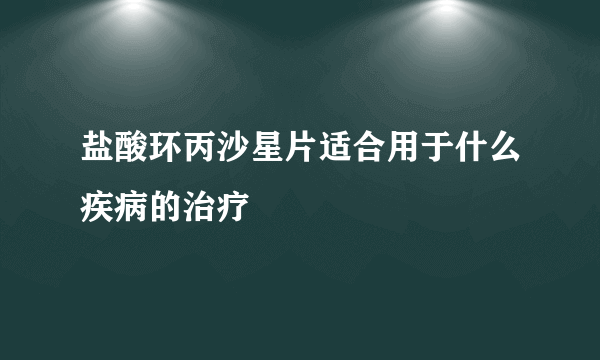 盐酸环丙沙星片适合用于什么疾病的治疗