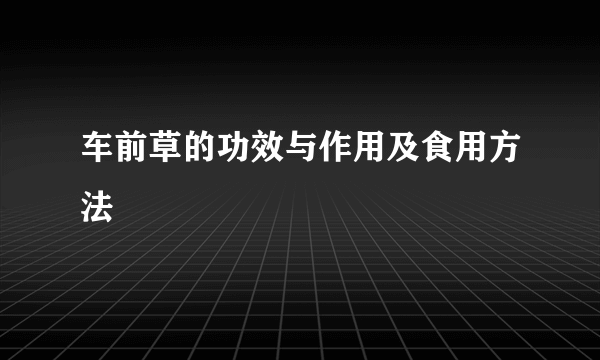 车前草的功效与作用及食用方法