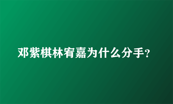 邓紫棋林宥嘉为什么分手？