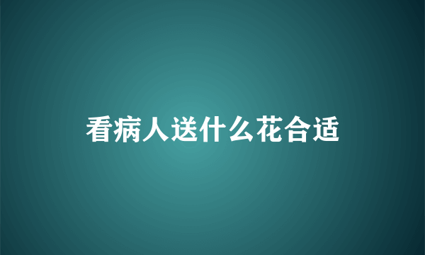 看病人送什么花合适