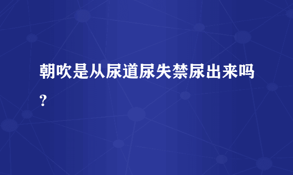 朝吹是从尿道尿失禁尿出来吗?