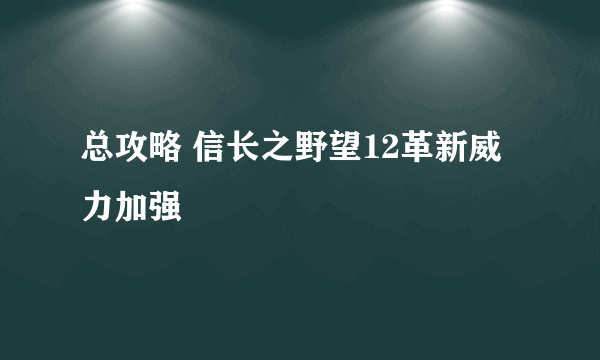 总攻略 信长之野望12革新威力加强