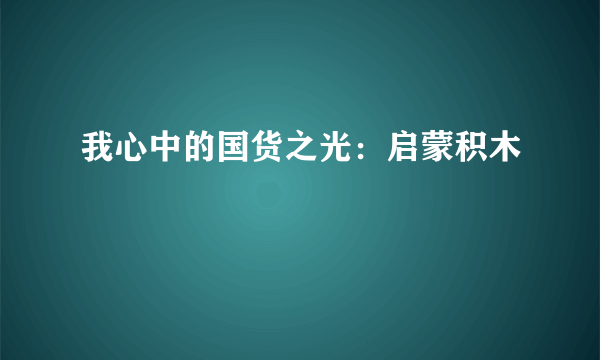 我心中的国货之光：启蒙积木