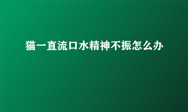 猫一直流口水精神不振怎么办