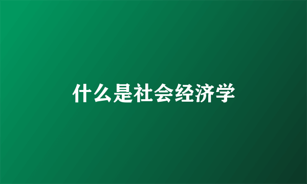 什么是社会经济学