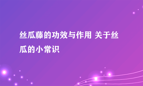 丝瓜藤的功效与作用 关于丝瓜的小常识