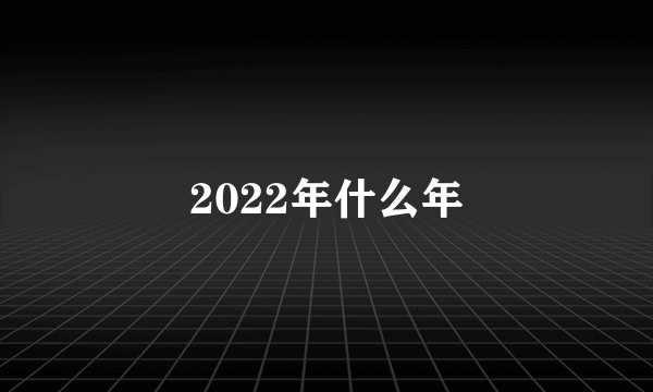 2022年什么年