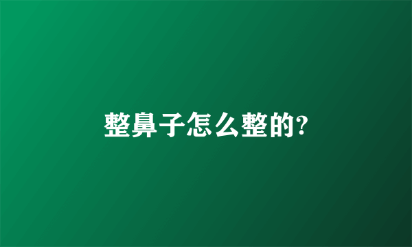 整鼻子怎么整的?